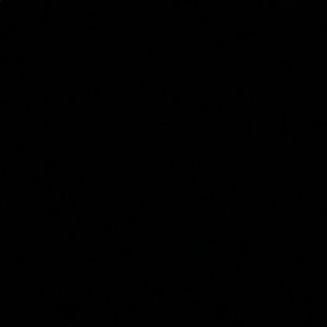 Meet your Posher, Sophia